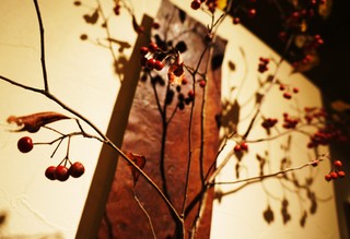 DSC02115.JPG