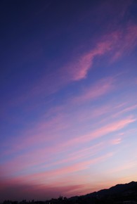DSC04311.JPG