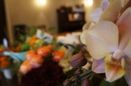 DSC08156.JPG