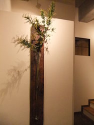 DSCF0160.JPG