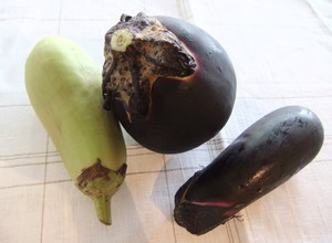 DSCF1289.JPG