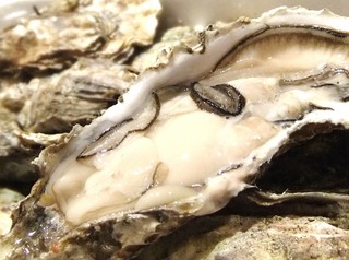 DSCF1800.JPG