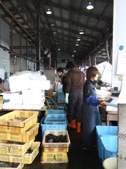 DSCF2163.JPG