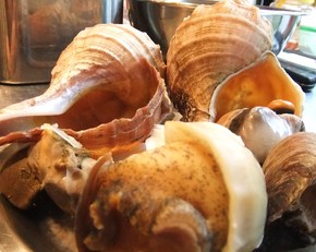 DSCF3885.JPG