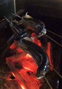 DSCF4115.JPG