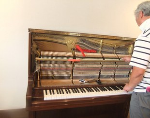DSCF4153.JPG