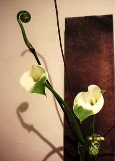SANY0086.JPG
